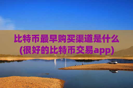 比特币最早购买渠道是什么(很好的比特币交易app)