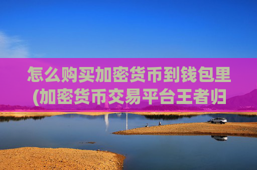 怎么购买加密货币到钱包里(加密货币交易平台王者归来)