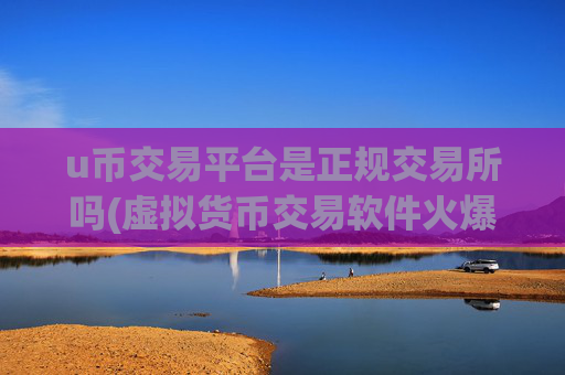 u币交易平台是正规交易所吗(虚拟货币交易软件火爆推出)