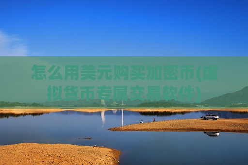 怎么用美元购买加密币(虚拟货币专属交易软件)