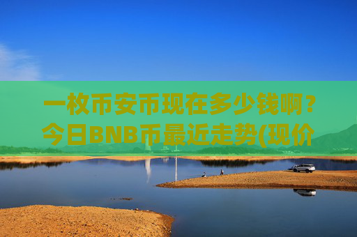 一枚币安币现在多少钱啊？今日BNB币最近走势(现价5201.03元)
