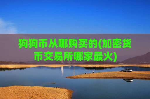 狗狗币从哪购买的(加密货币交易所哪家最火)