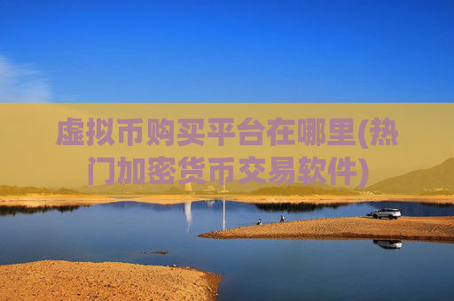 虚拟币购买平台在哪里(热门加密货币交易软件)