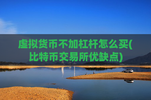 虚拟货币不加杠杆怎么买(比特币交易所优缺点)