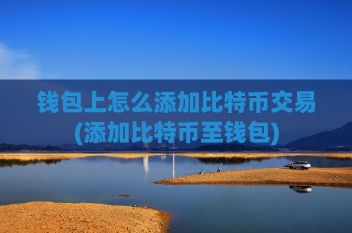 钱包上怎么添加比特币交易(添加比特币至钱包)