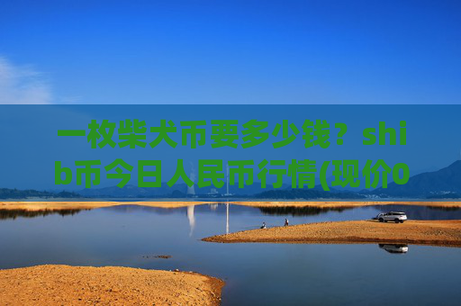 一枚柴犬币要多少钱？shib币今日人民币行情(现价0.00022151元)