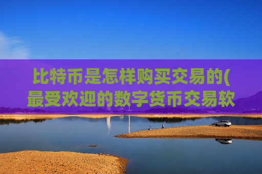 比特币是怎样购买交易的(最受欢迎的数字货币交易软件)