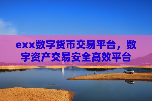 exx数字货币交易平台，数字资产交易安全高效平台