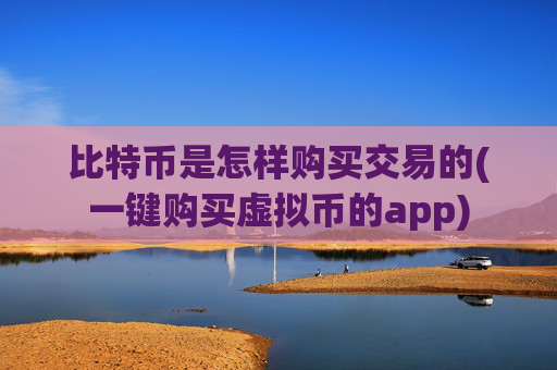 比特币是怎样购买交易的(一键购买虚拟币的app)