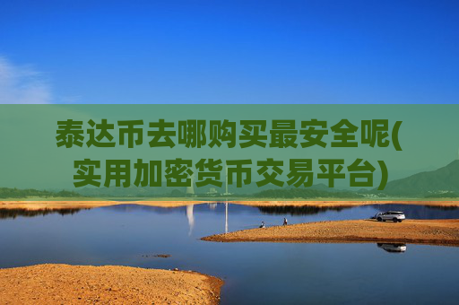 泰达币去哪购买最安全呢(实用加密货币交易平台)