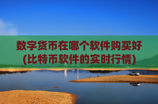 数字货币在哪个软件购买好(比特币软件的实时行情)