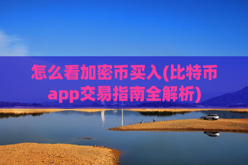 怎么看加密币买入(比特币app交易指南全解析)
