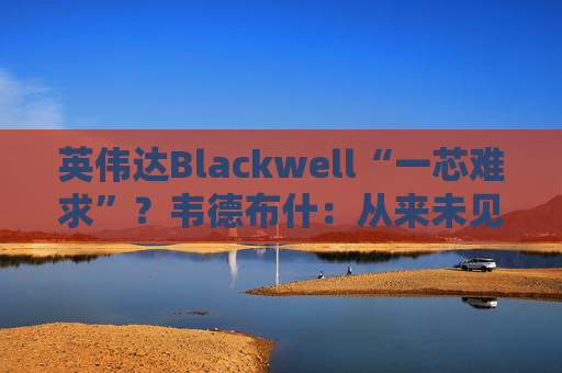 英伟达Blackwell“一芯难求”？韦德布什：从来未见如此供应紧张局面！