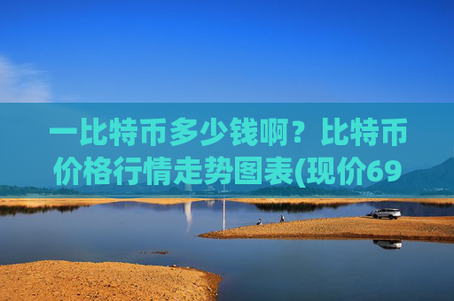 一比特币多少钱啊？比特币价格行情走势图表(现价693051.96元)