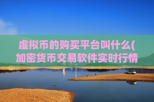 虚拟币的购买平台叫什么(加密货币交易软件实时行情分析)