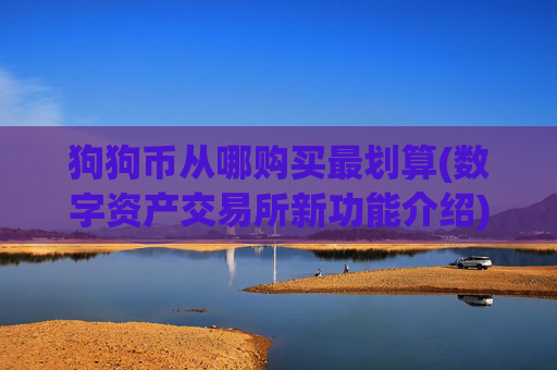狗狗币从哪购买最划算(数字资产交易所新功能介绍)