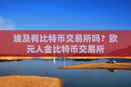 埃及有比特币交易所吗？欧元入金比特币交易所