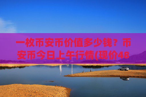 一枚币安币价值多少钱？币安币今日上午行情(现价4806.5元)