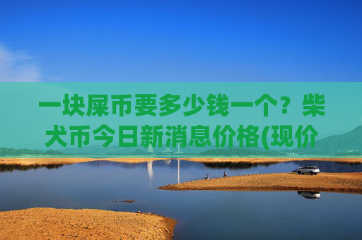 一块屎币要多少钱一个？柴犬币今日新消息价格(现价0.00021977元)
