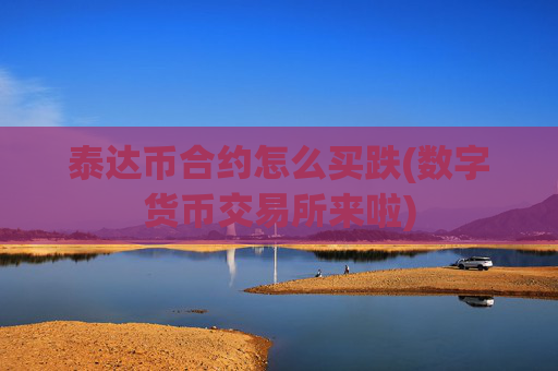 泰达币合约怎么买跌(数字货币交易所来啦)