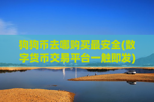 狗狗币去哪购买最安全(数字货币交易平台一触即发)