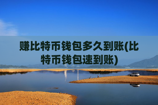 赚比特币钱包多久到账(比特币钱包速到账)