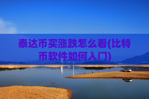 泰达币买涨跌怎么看(比特币软件如何入门)