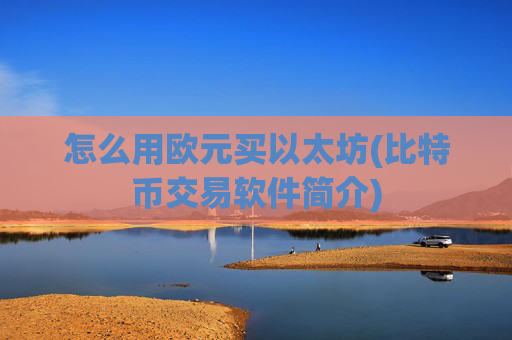 怎么用欧元买以太坊(比特币交易软件简介)