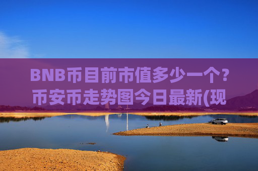 BNB币目前市值多少一个？币安币走势图今日最新(现价5168.82元)