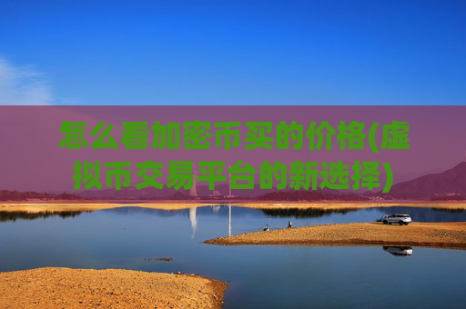 怎么看加密币买的价格(虚拟币交易平台的新选择)