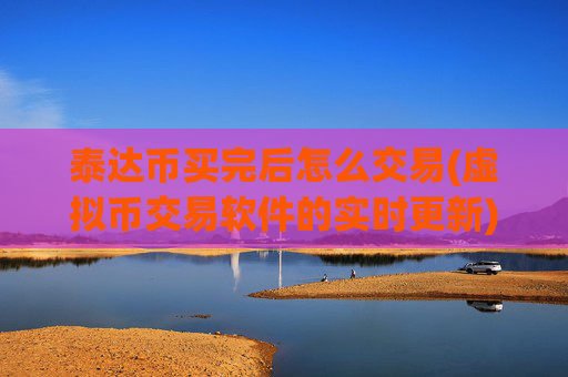 泰达币买完后怎么交易(虚拟币交易软件的实时更新)