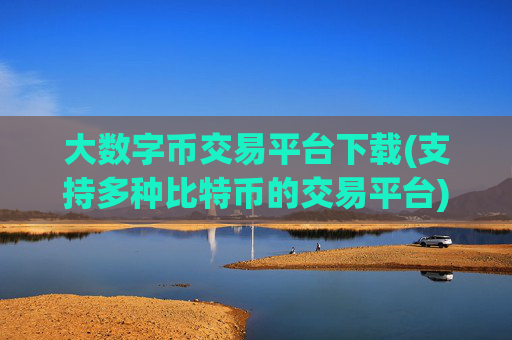 大数字币交易平台下载(支持多种比特币的交易平台)