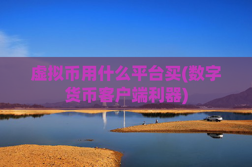 虚拟币用什么平台买(数字货币客户端利器)