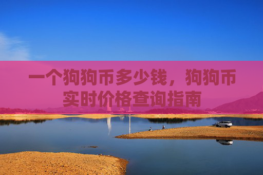 一个狗狗币多少钱,狗狗币实时价格查询指南