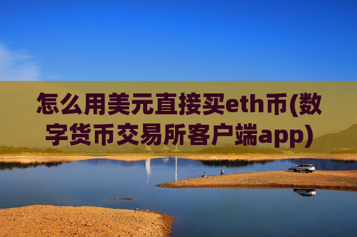 怎么用美元直接买eth币(数字货币交易所客户端app)
