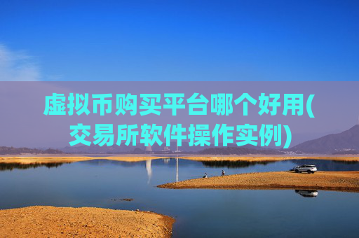 虚拟币购买平台哪个好用(交易所软件操作实例)