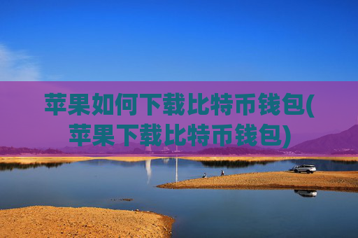 苹果如何下载比特币钱包(苹果下载比特币钱包)