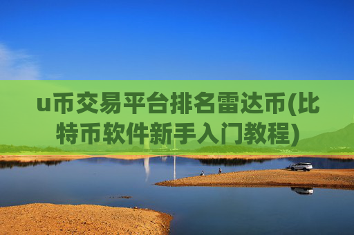 u币交易平台排名雷达币(比特币软件新手入门教程)