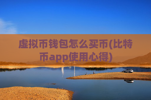 虚拟币钱包怎么买币(比特币app使用心得)