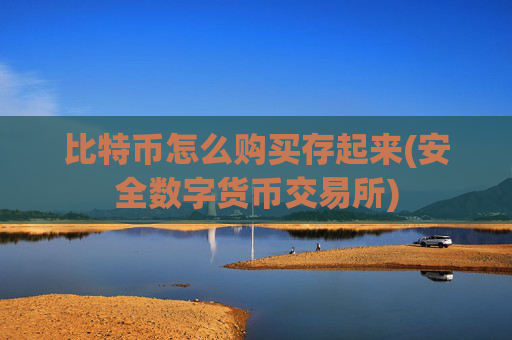 比特币怎么购买存起来(安全数字货币交易所)
