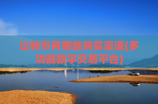 比特币有哪些购买渠道(多功能数字交易平台)