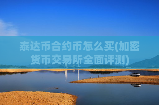泰达币合约币怎么买(加密货币交易所全面评测)