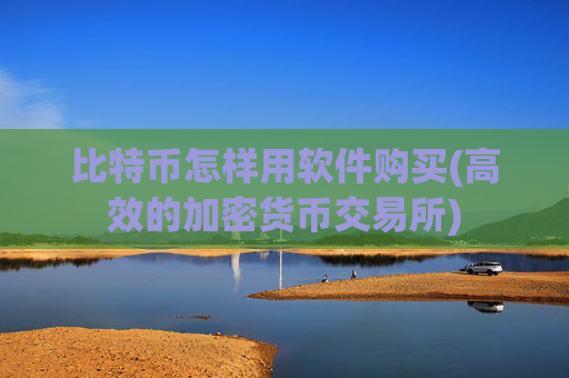 比特币怎样用软件购买(高效的加密货币交易所)