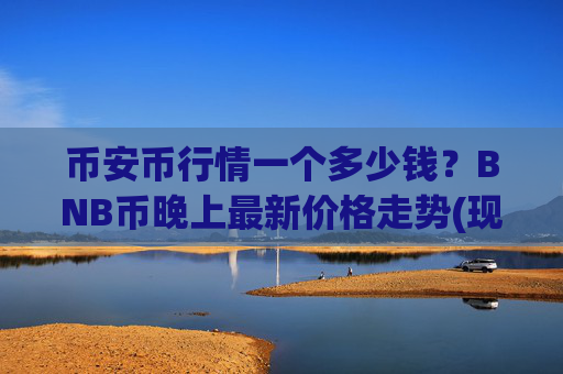 币安币行情一个多少钱？BNB币晚上最新价格走势(现价5176元)