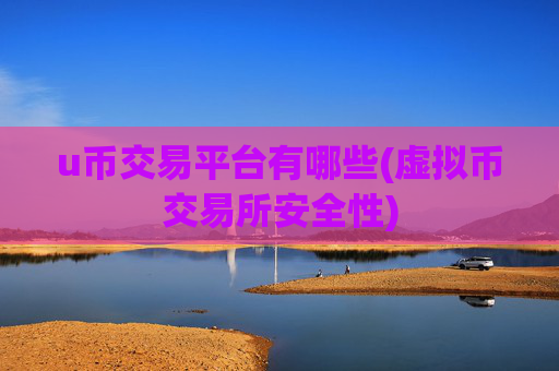 u币交易平台有哪些(虚拟币交易所安全性)