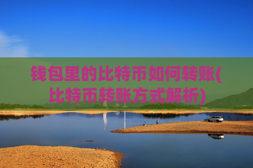 钱包里的比特币如何转账(比特币转账方式解析)