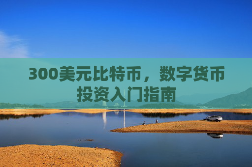 300美元比特币，数字货币投资入门指南