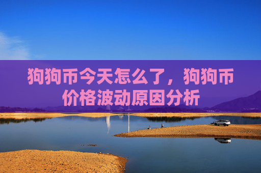 狗狗币今天怎么了，狗狗币价格波动原因分析
