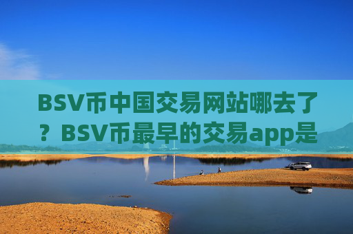 BSV币中国交易网站哪去了？BSV币最早的交易app是