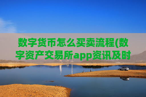 数字货币怎么买卖流程(数字资产交易所app资讯及时)